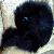 :iconblairwitchcat: