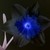 :iconblakdaffodil: