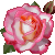 :iconblakeexoxo: