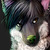 :iconblakewolf: