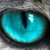 :iconblakhourse: