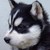 :iconblalight: