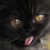 :iconblanche-firelight: