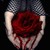 :iconblanquet:
