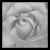 :iconblaqkrose: