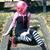 :iconblaquesoeul13: