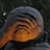 :iconblasfemyr: