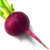 :iconblastbeets: