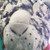 :iconblastershein: