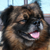 :iconblaur: