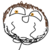 Blaz0re :iconblaz0re: