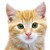 :iconblazamy151719: