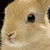 :iconblazemane: