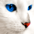 :iconblazethecat230: