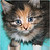 blazewing12 :iconblazewing12: