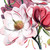 :iconblazingcupcakes: