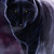 :iconblazingdragon1: