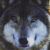 :iconblazingwand:
