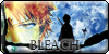 :iconbleach-association:
