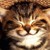 :iconbleach1476: