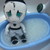 :iconbleached-inu-basket: