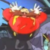:iconbledengor: