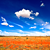 :iconbleed-the-sky: