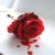 :iconbleeding-skies: