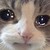:iconbleedingpieces: