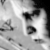 :iconbleedingrosesd: