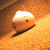:iconbleedingxrosexx: