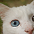 :iconbleedingzombie: