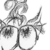 Bleistiftspitzerin :iconbleistiftspitzerin: