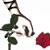 :iconblind-and-broken: