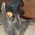 :iconblind-in-wonderland: