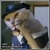 :iconBLiNk0: