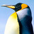 :iconblinkymushroom: