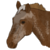 :iconblissandhorses: