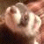 :iconblisstearremix: