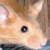 :iconblitzenmaus: