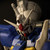:iconblitzwing78: