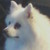 BlizzardSiya16 :iconBlizzardSiya16: