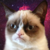 :iconblizzardsknight: