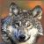 :iconblizzardwolf7: