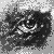 :iconblk-panther: