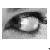 :iconblkcavidrvr: