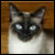 :iconblobbywomble: