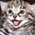 :iconblogpop: