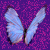 :iconblom1tyd: