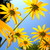 :iconblondiephoto: